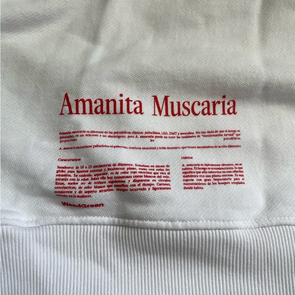 WeedGreen Amanita Muscaria Mushroom Printed Graphic Sweater Size Large - Picture 5 of 6